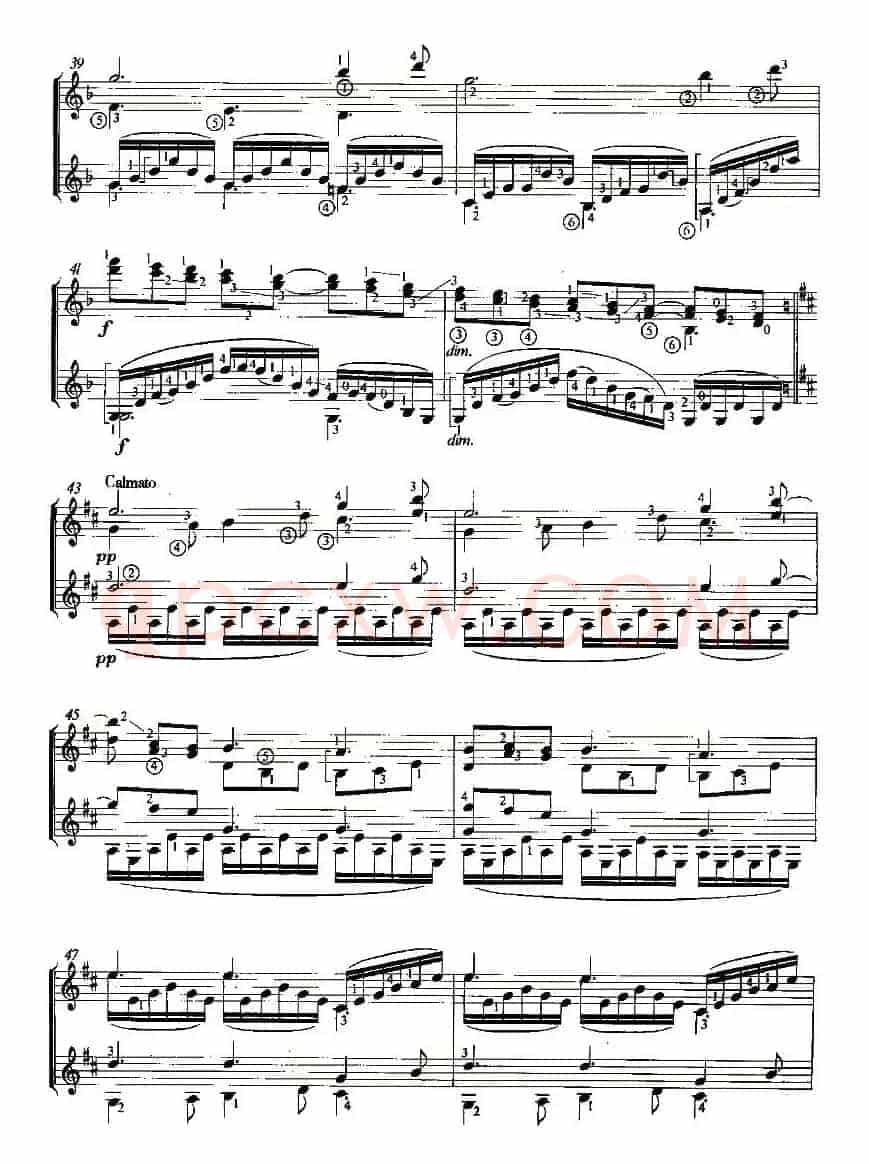 CLAIR DE LUNE（双吉他）