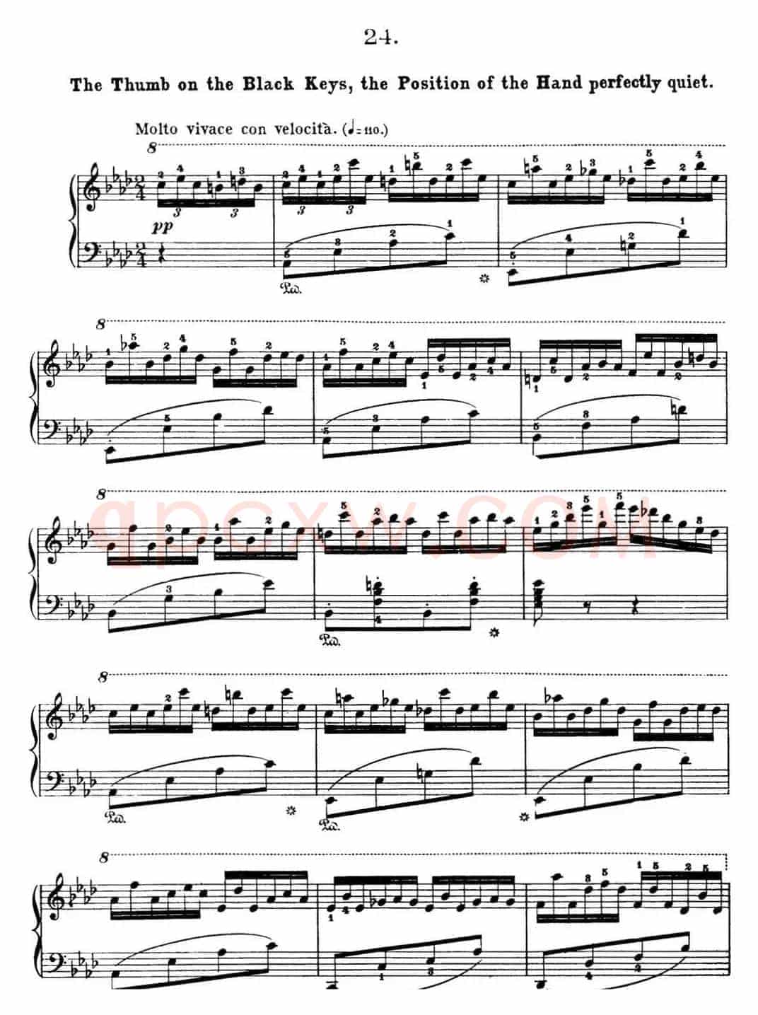 50首车尔尼Op.740钢琴手指灵巧技术练习曲（NO.24）