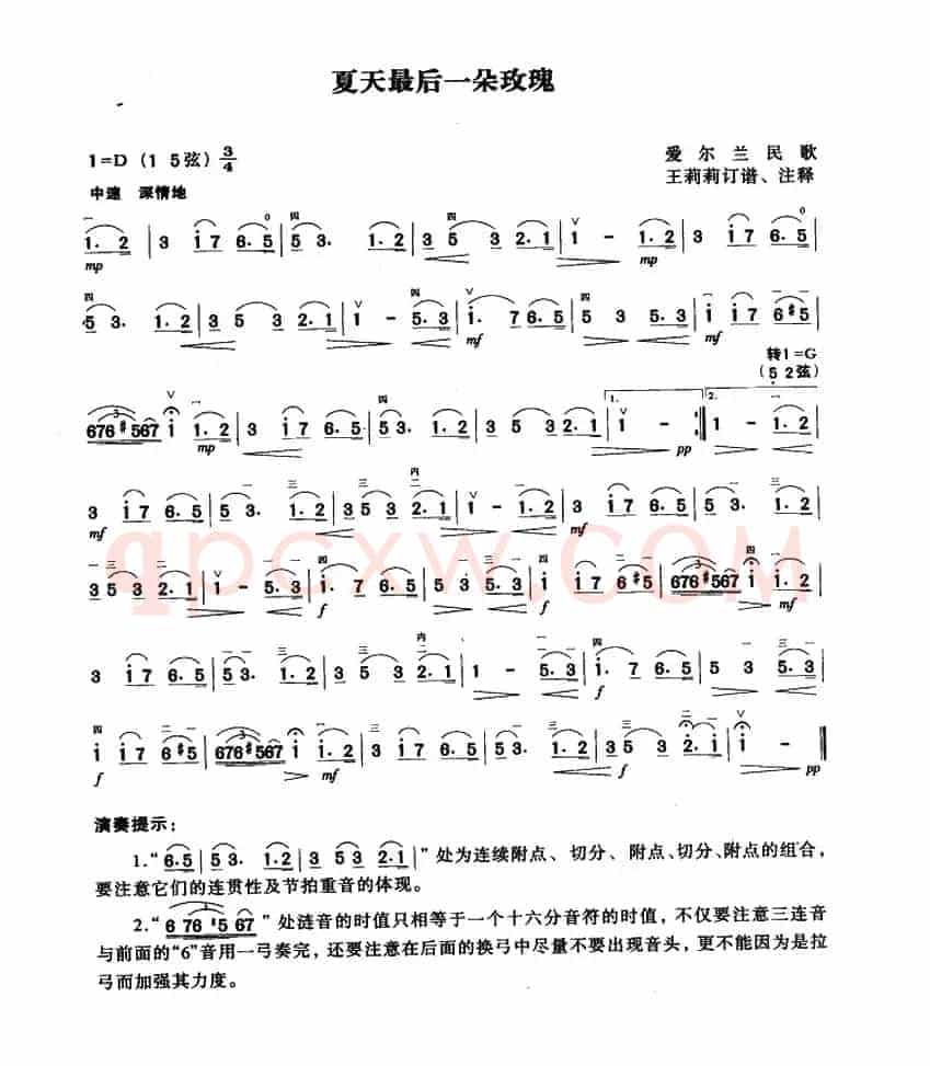 夏天最后一朵玫瑰