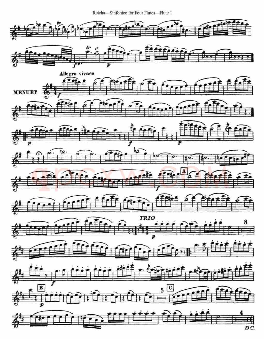 瑞查长笛四重奏（Flute 1）