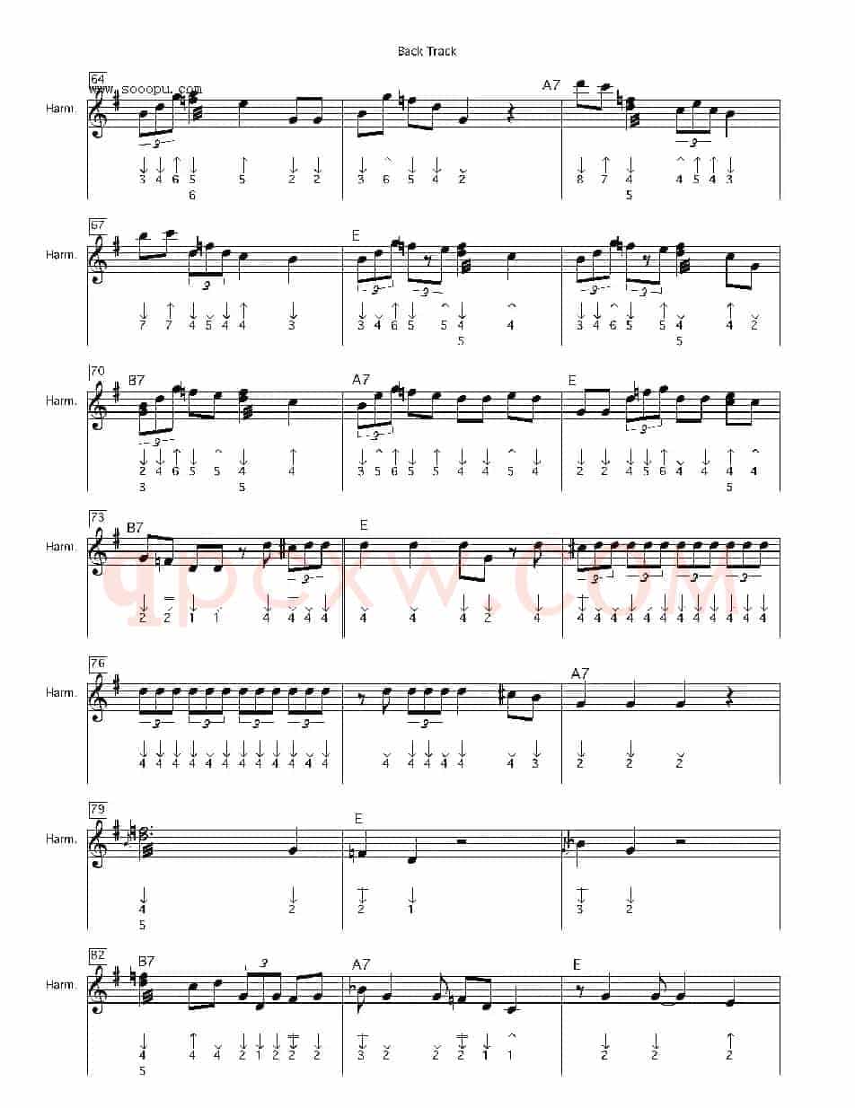 back track（布鲁斯）