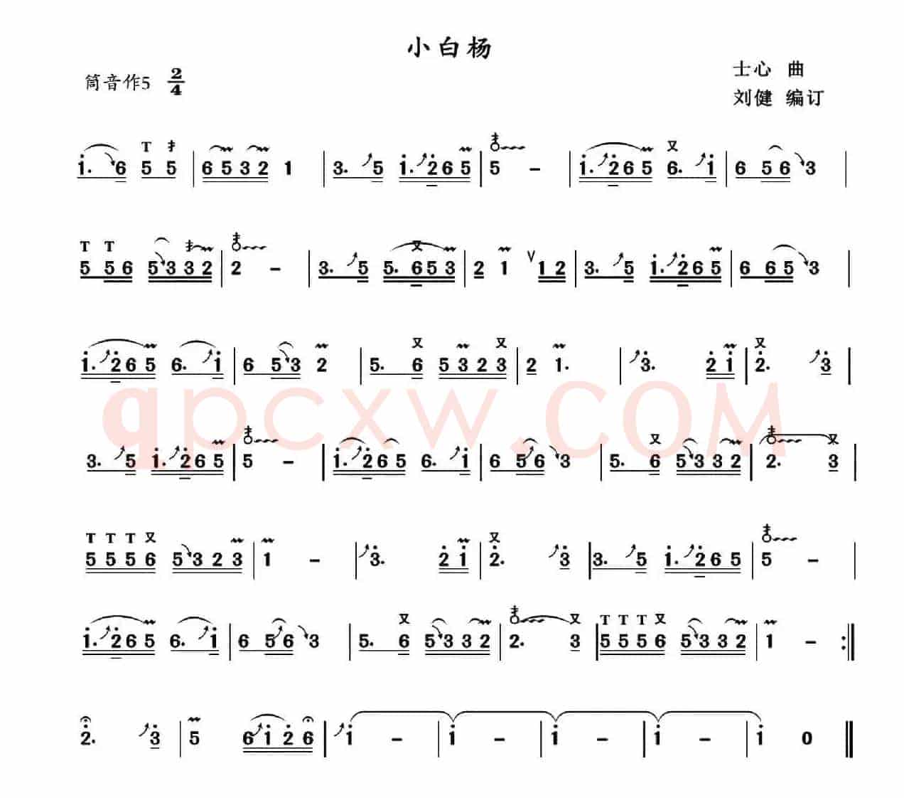 小白杨