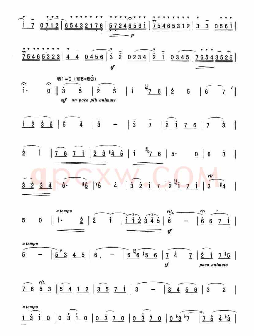 巴丁小夜曲