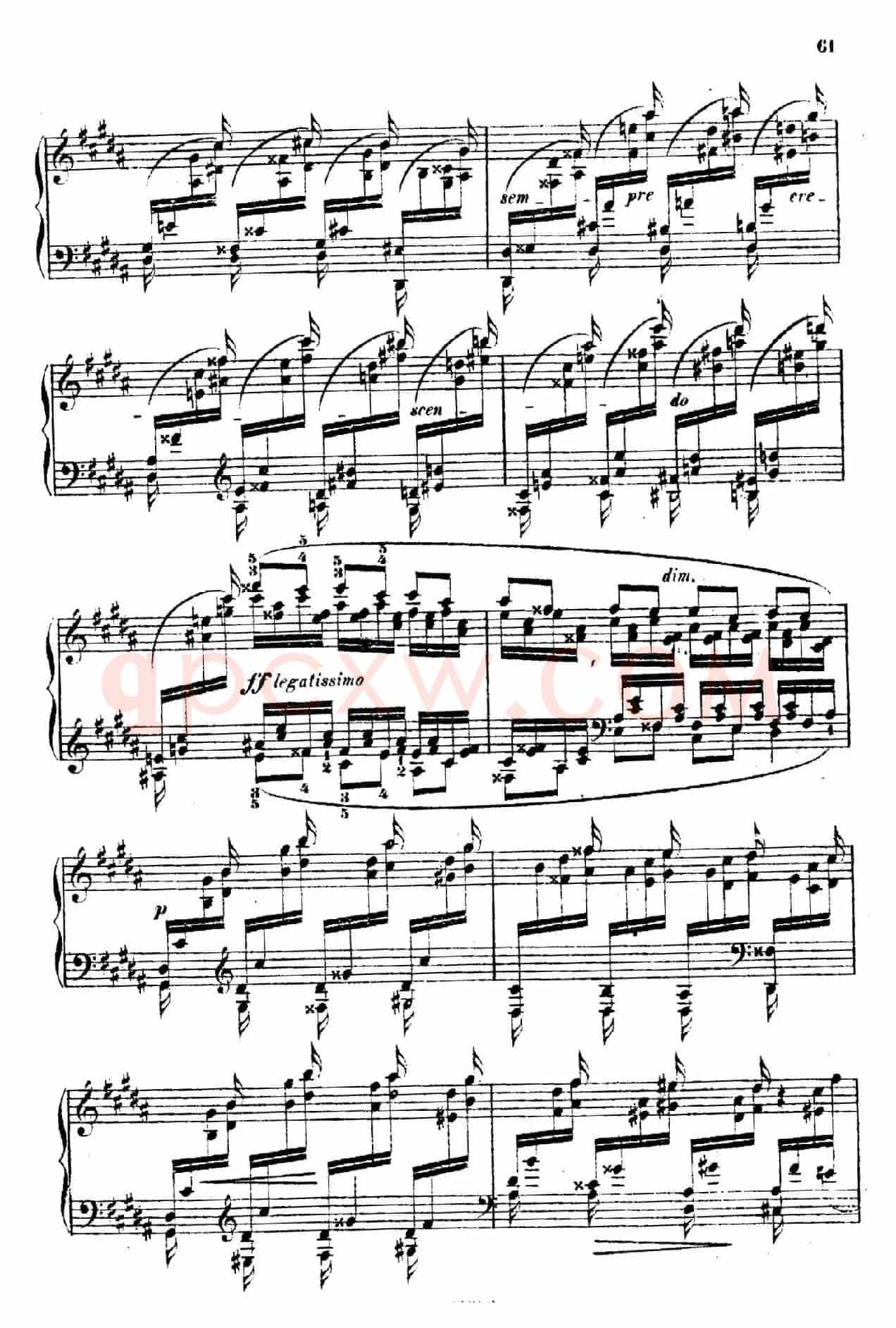 Douze Etudes de Salon Op.5(12首沙龙练习曲·12)