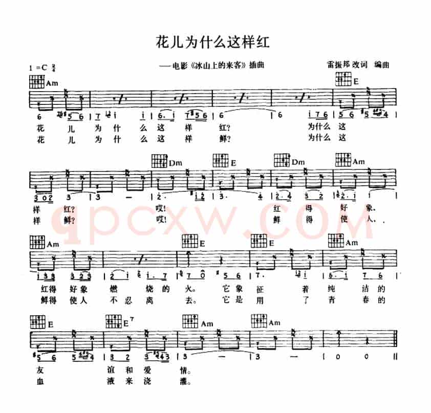花儿为什么这样红