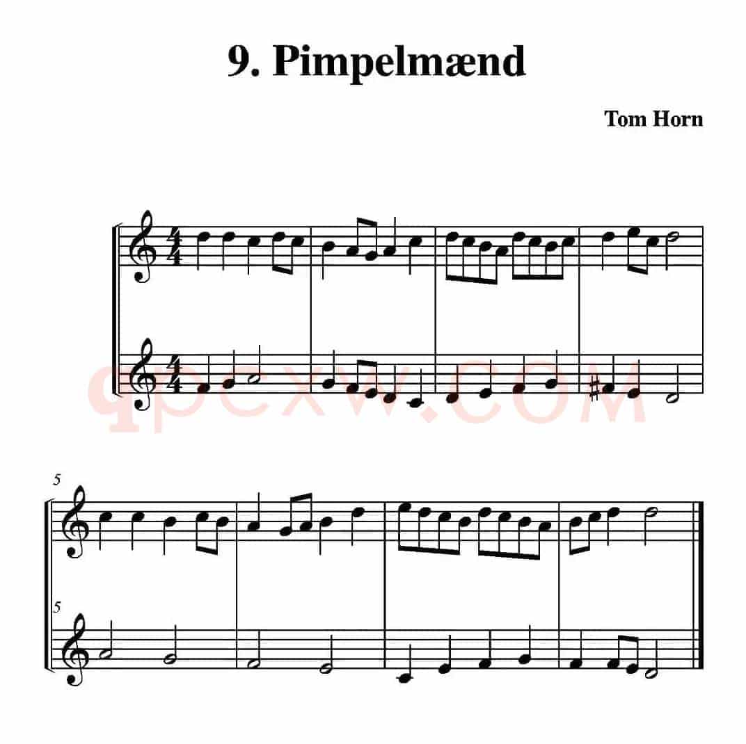 Pimpelmand（简易二重奏）