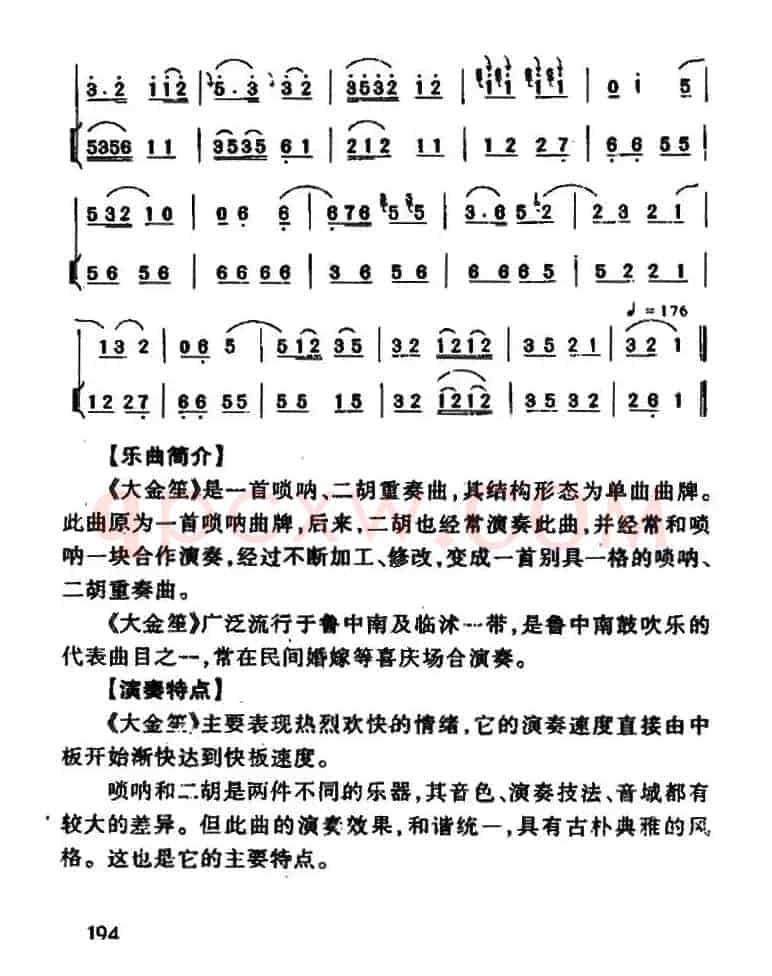 大金笙（唢呐+二胡）