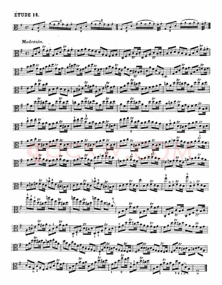 克莱采尔《中提琴练习曲40首》（ETUDE 14-16）