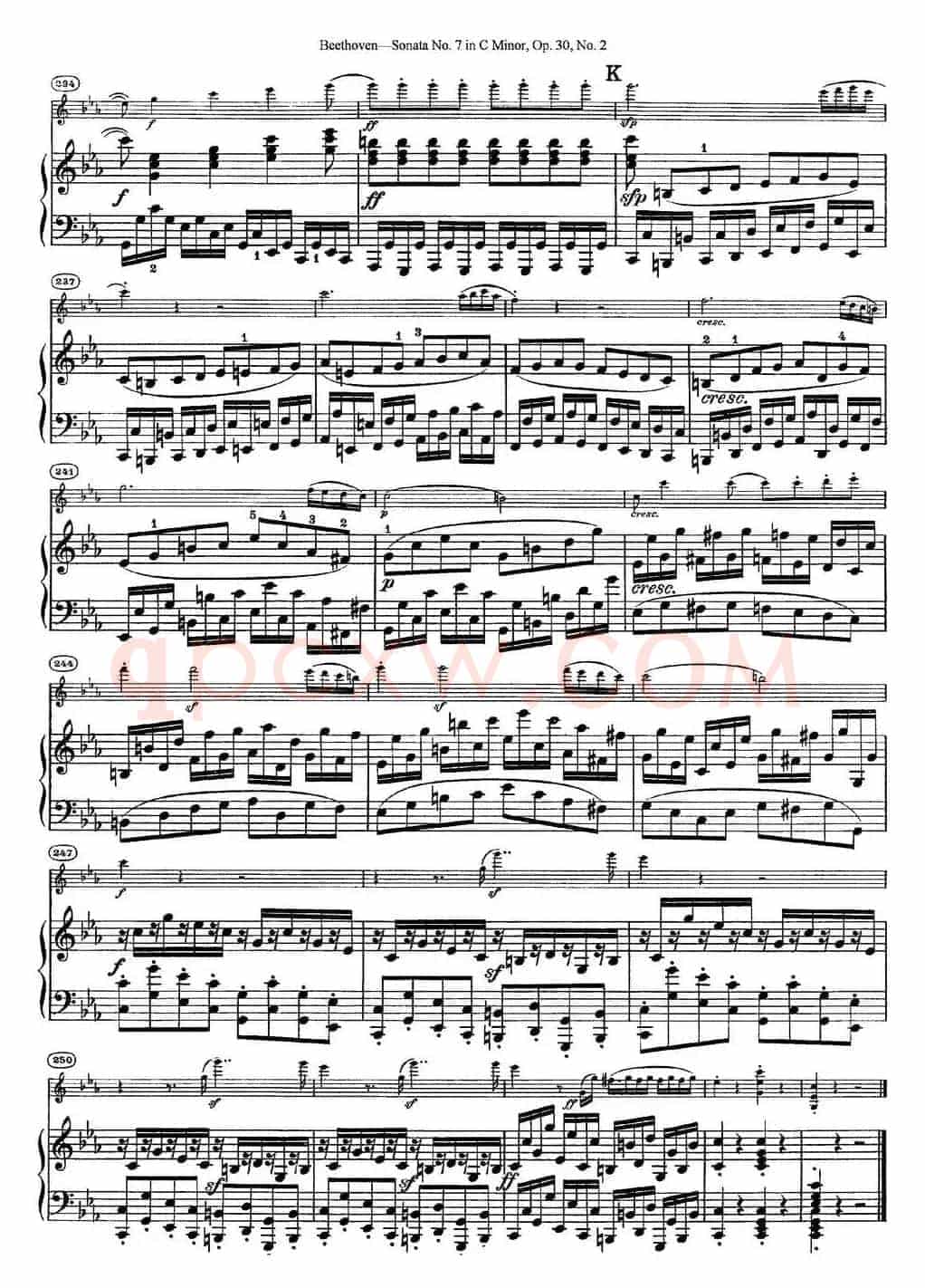 Violin Sonata No.7 in C Minor Op.30 No.2（小提琴+钢琴伴奏）