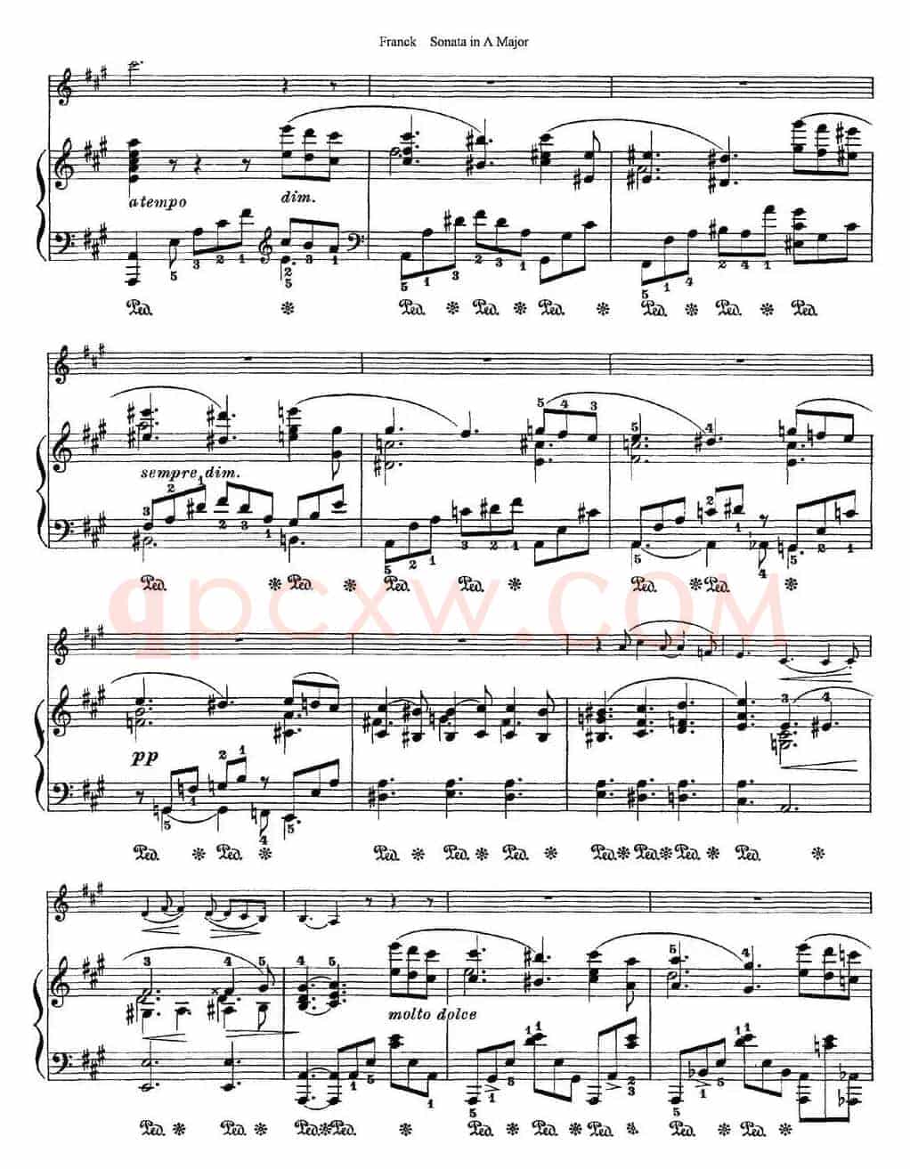 Franck Sonata in A Major（小提琴+钢琴伴奏）