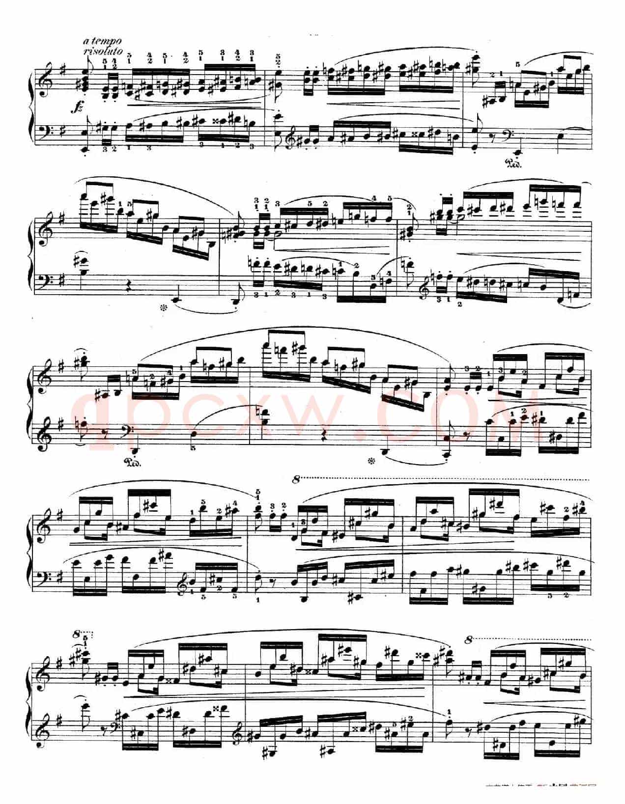 e小调第一钢琴协奏曲 Op.11(钢琴独奏版·第一乐章)