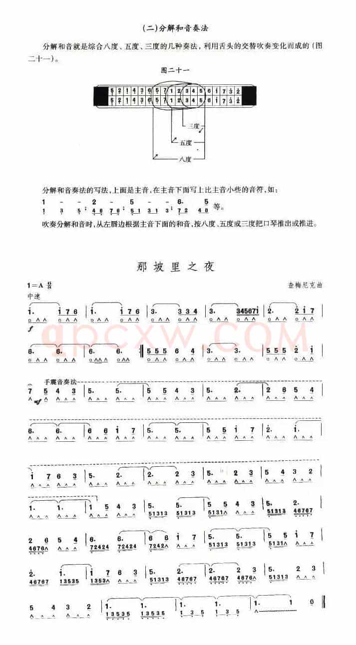考级十级曲目：那坡里之夜