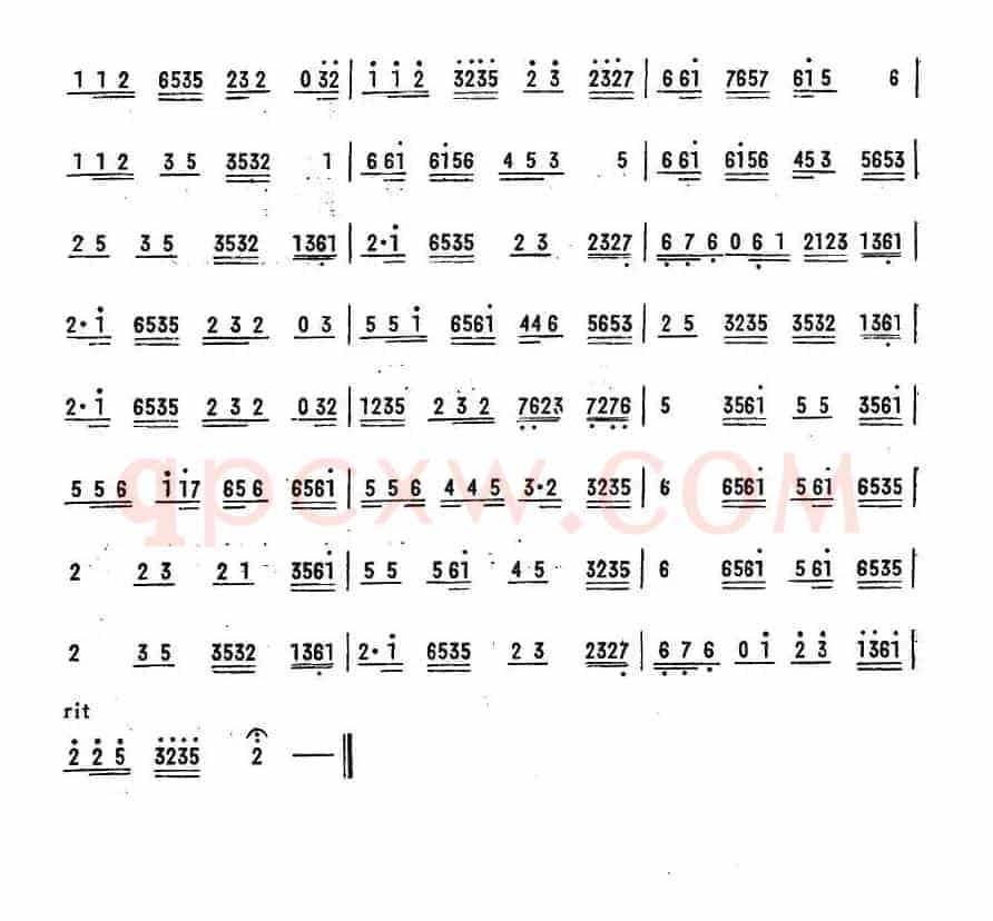 双飞蝴蝶