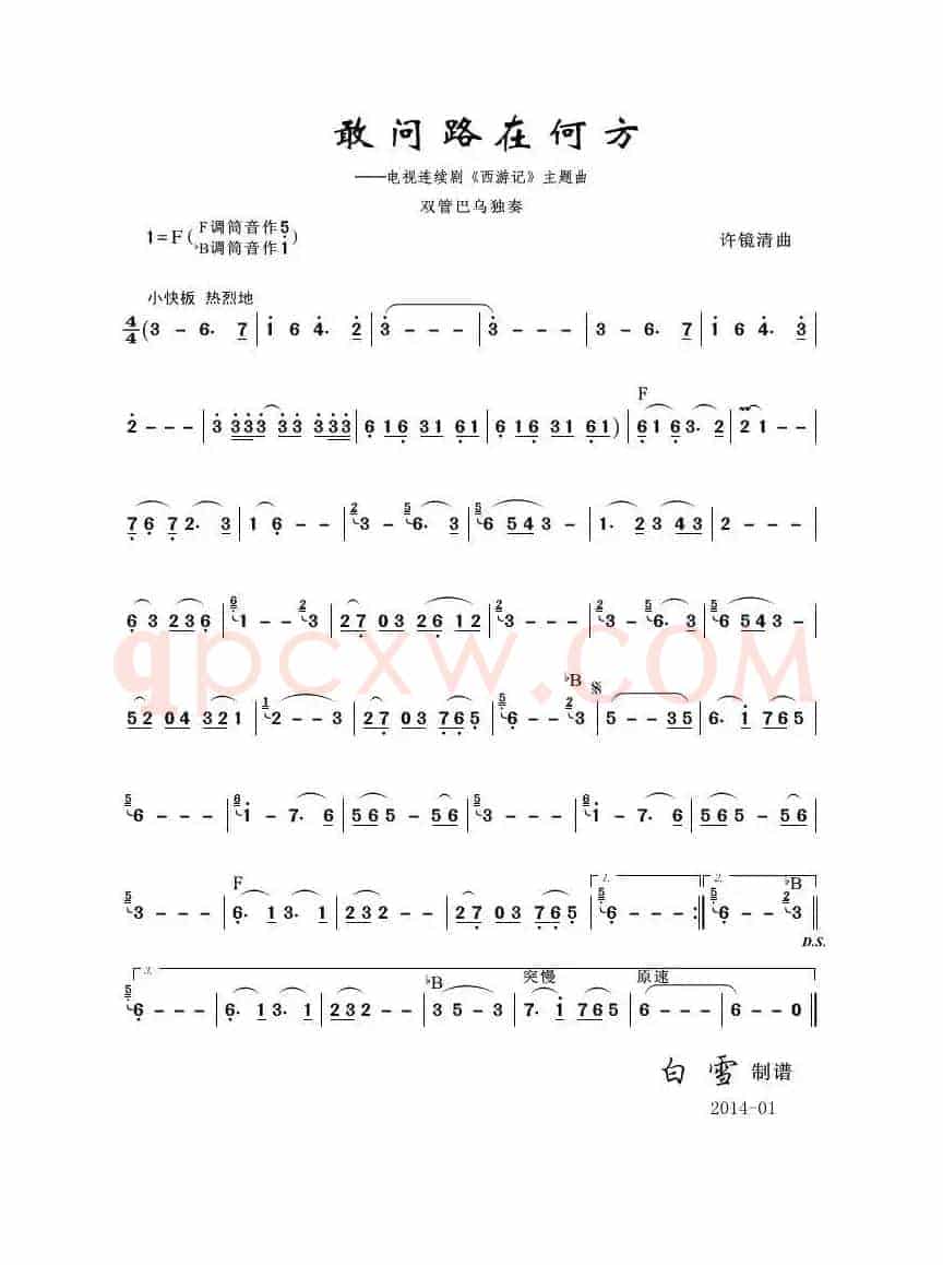 敢问路在何方（双管巴乌）