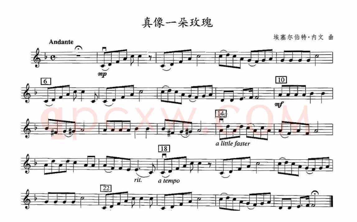 真像一朵玫瑰