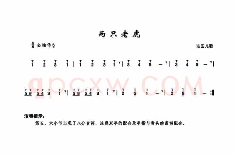 两只老虎