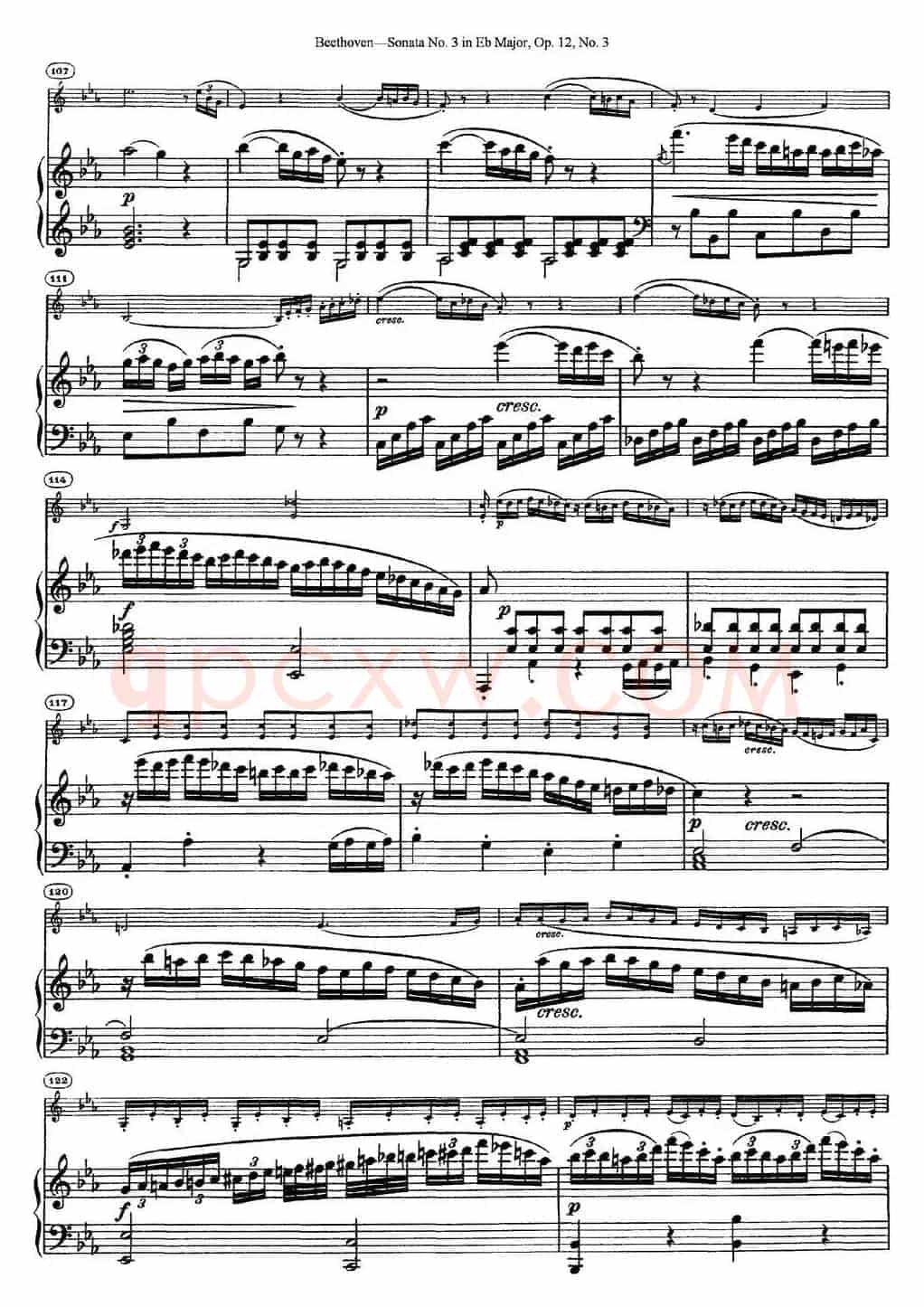 Violin Sonata No.3 in Eb Major Op.12 No.3（小提琴+钢琴伴奏）