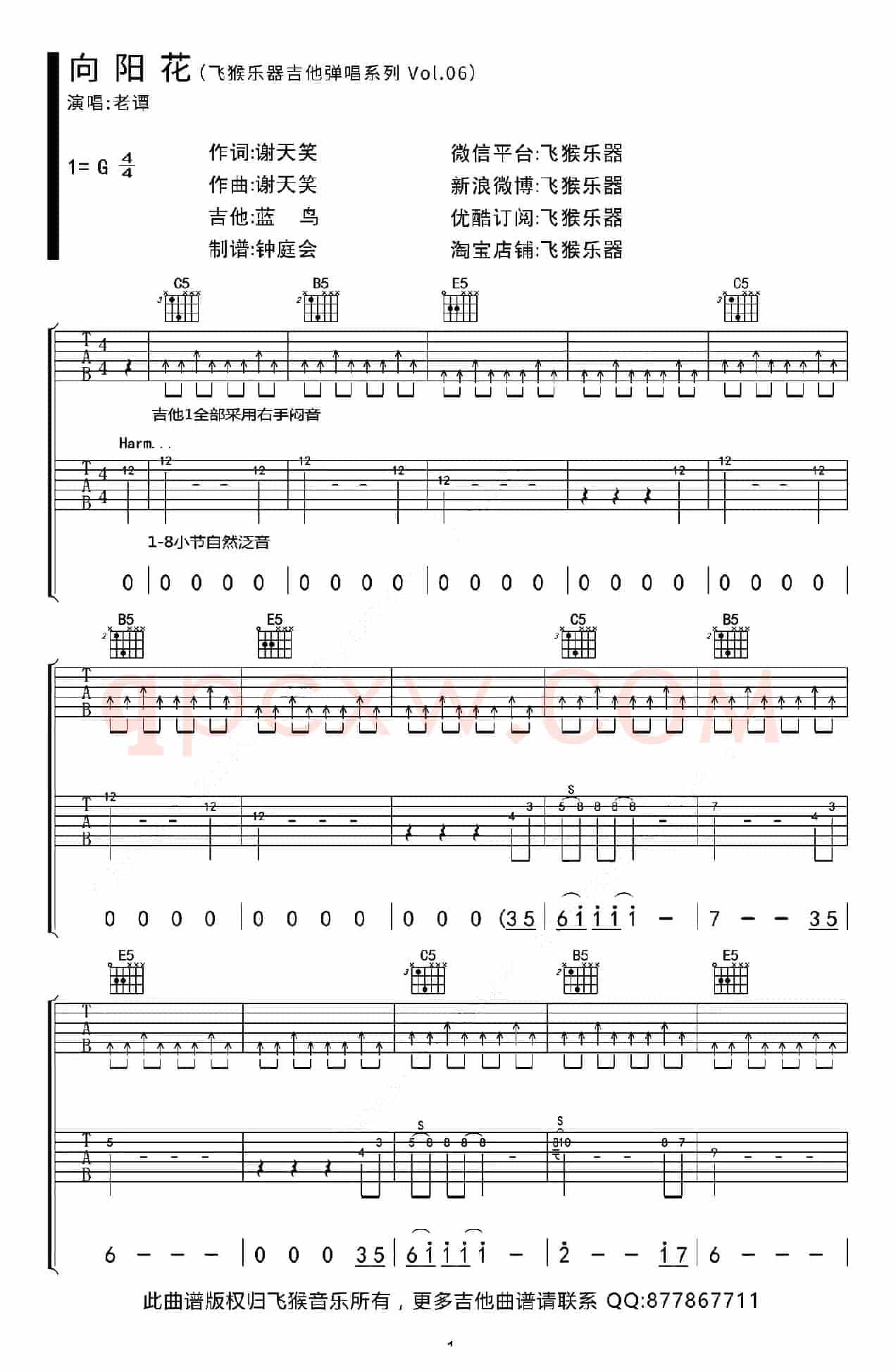 向阳花（G调双吉他版）