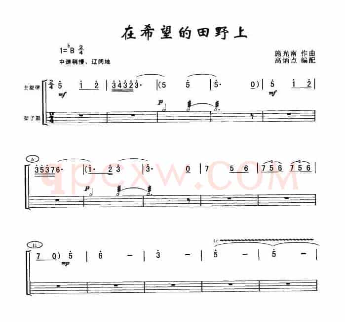 在希望的田野上（架子鼓谱）
