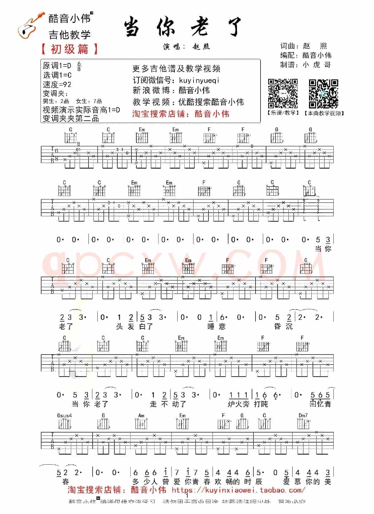 当你老了（赵照词曲、酷音小伟编配版）