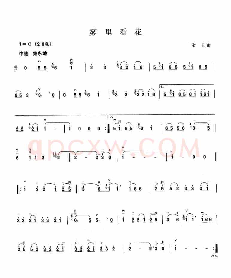 雾里看花
