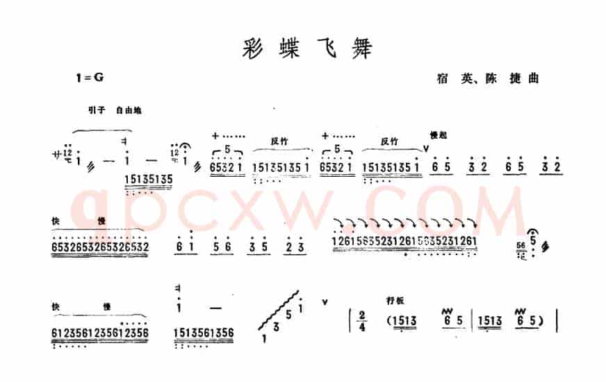 彩蝶飞舞