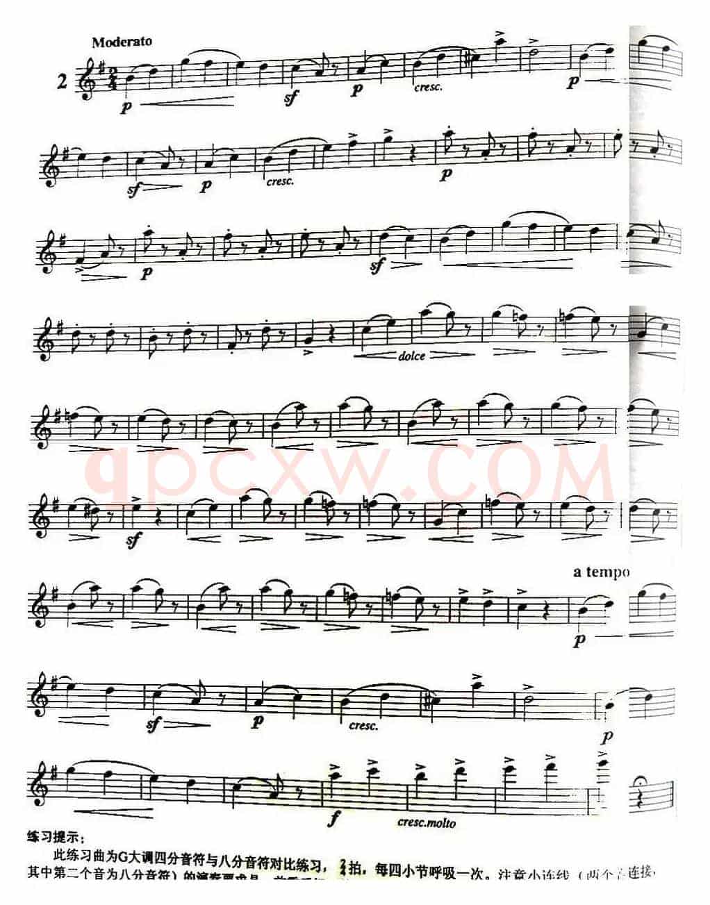 三十首小练习曲作品120号（NO.2）
