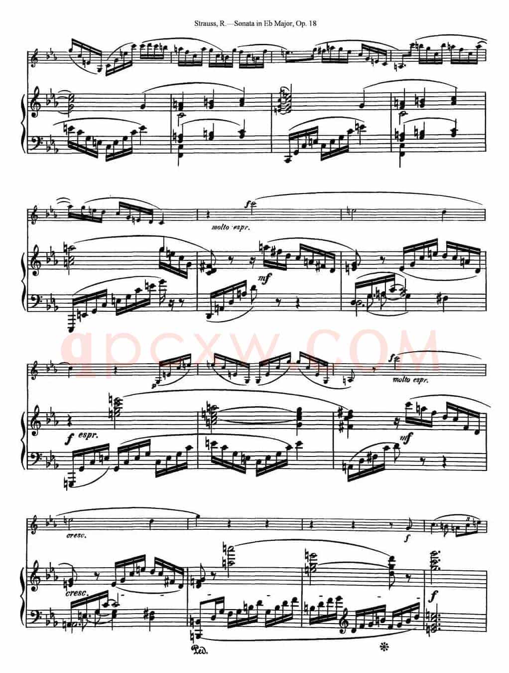 Violin Sonata in Eb Major Op.18（小提琴+钢琴伴奏）