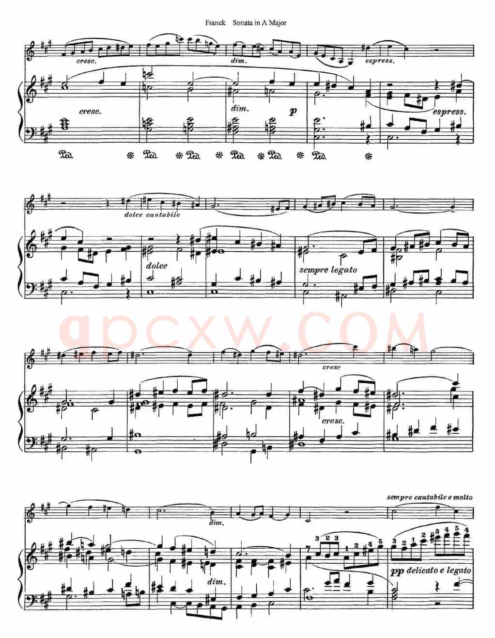 Franck Sonata in A Major（小提琴+钢琴伴奏）