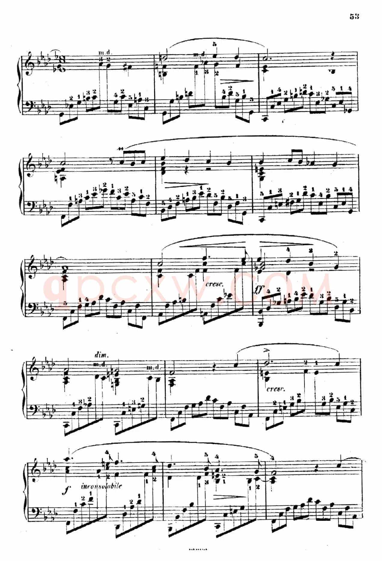 Douze Etudes de Salon Op.5(12首沙龙练习曲·10)
