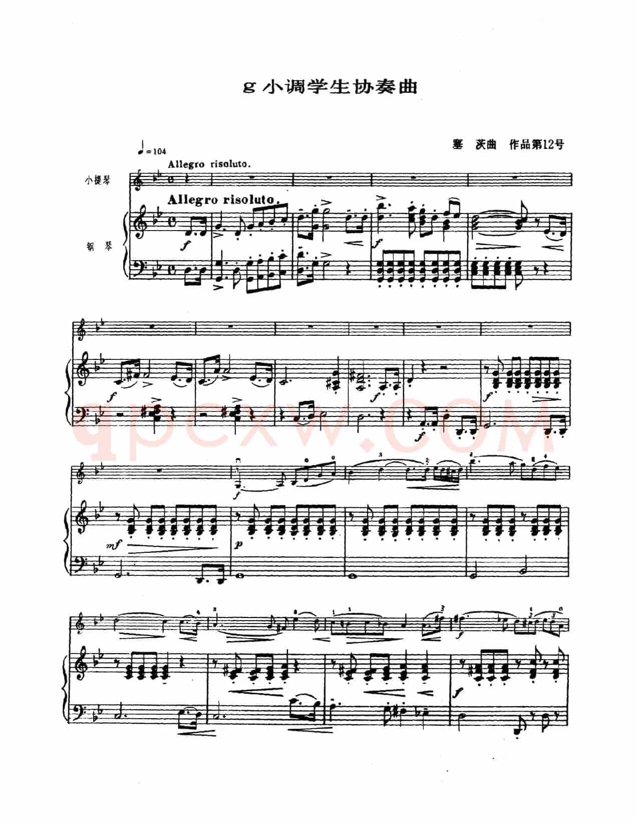 g小调学生协奏曲（塞茨作品第12号）