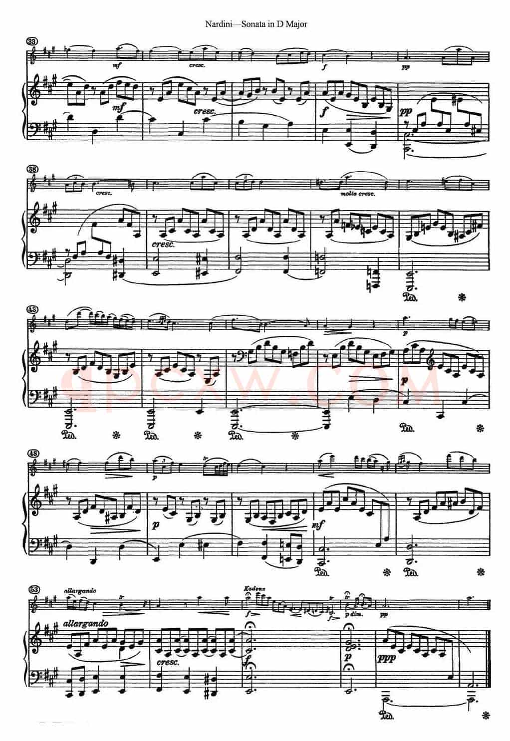 Nardini Violin Sonata in D Major（小提琴+钢琴伴奏）