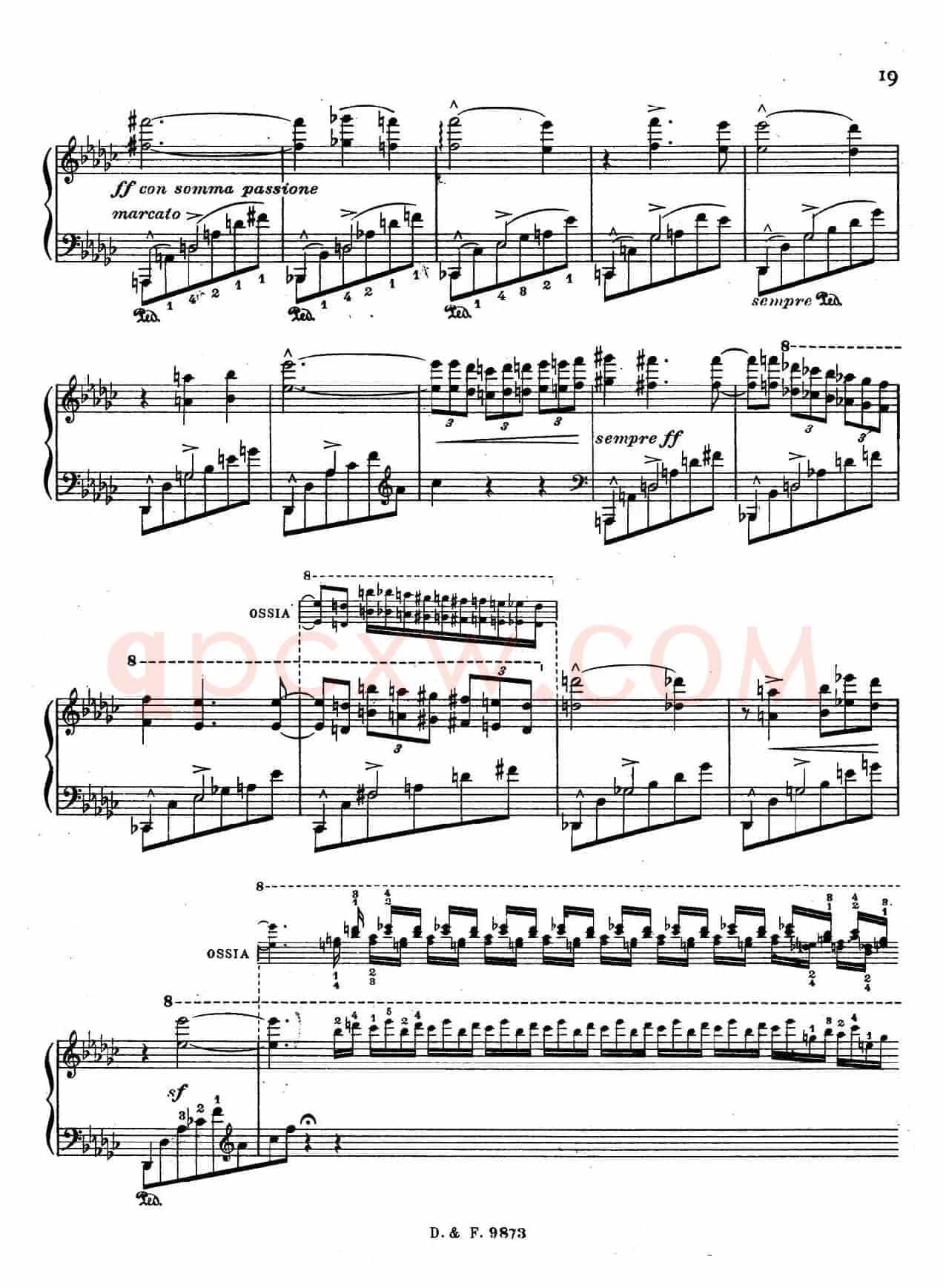 6 Chants Polonais S.480（6首波兰歌曲·Ⅴ）