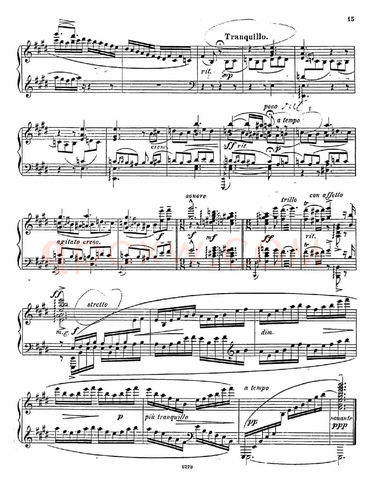 Nocturne Fantasie Op.20（幻想夜曲）