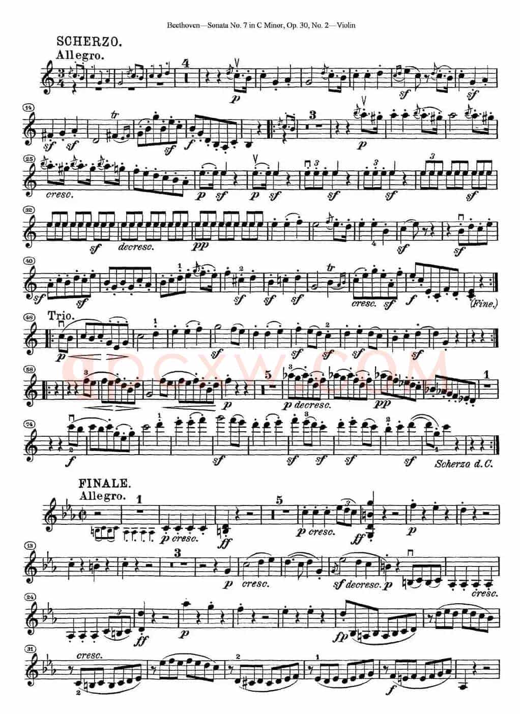 Violin Sonata No.7 in C Minor Op.30 No.2
