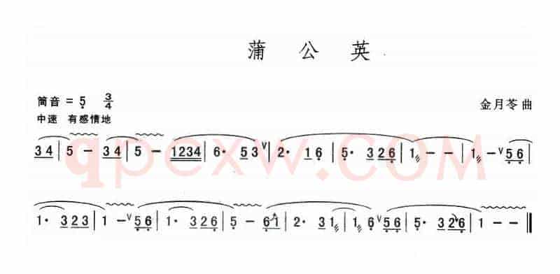 蒲公英
