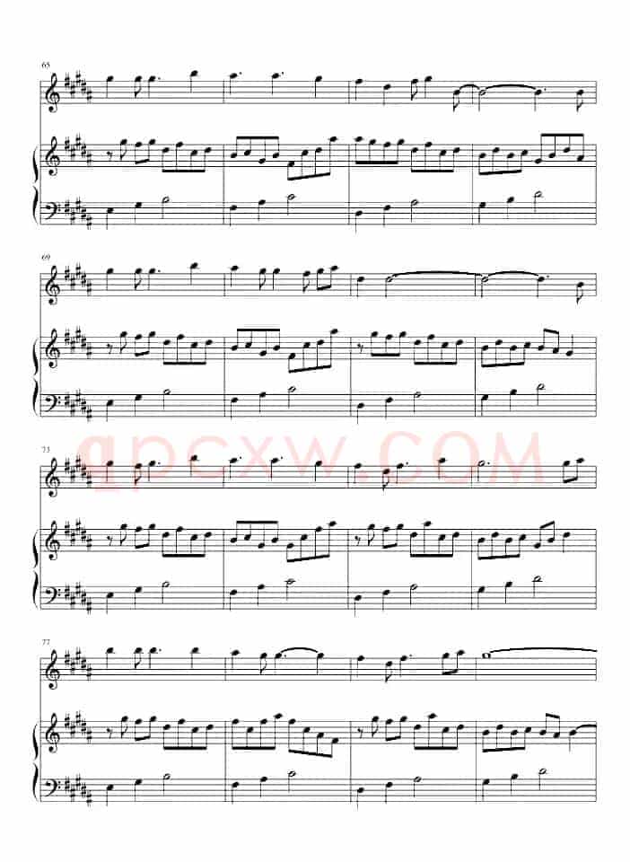 爱的供养（电视剧《宫》主题曲、长笛+钢琴）