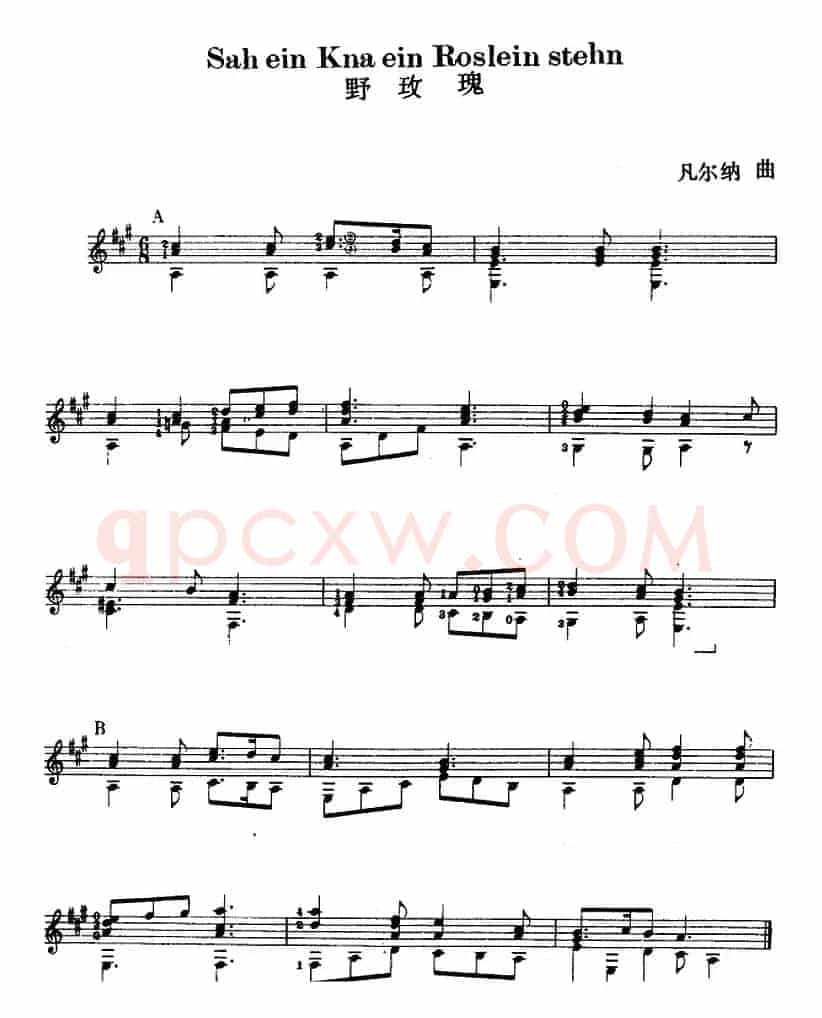 西班牙吉他独奏曲：野玫瑰