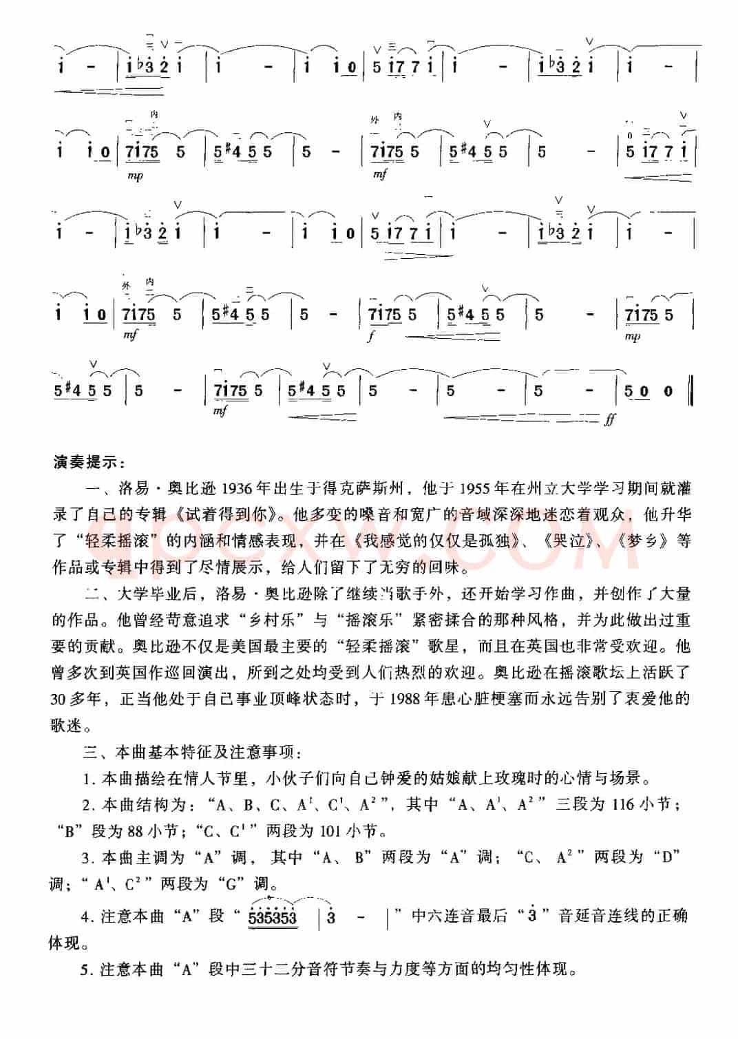 情人节的玫瑰