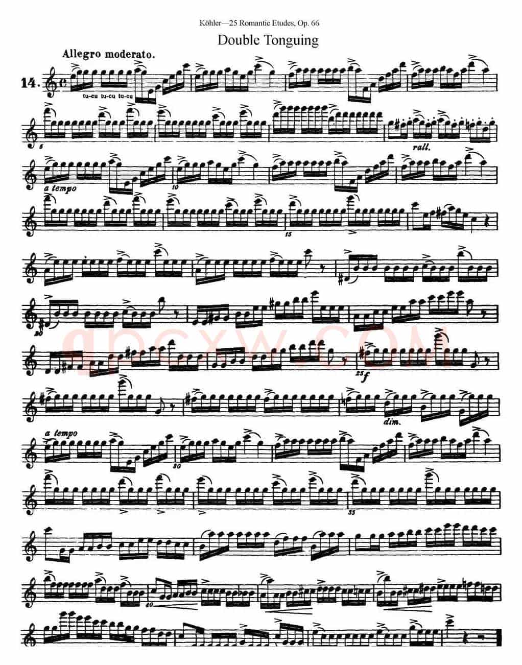 25首浪漫练习曲作品66号（NO.14）