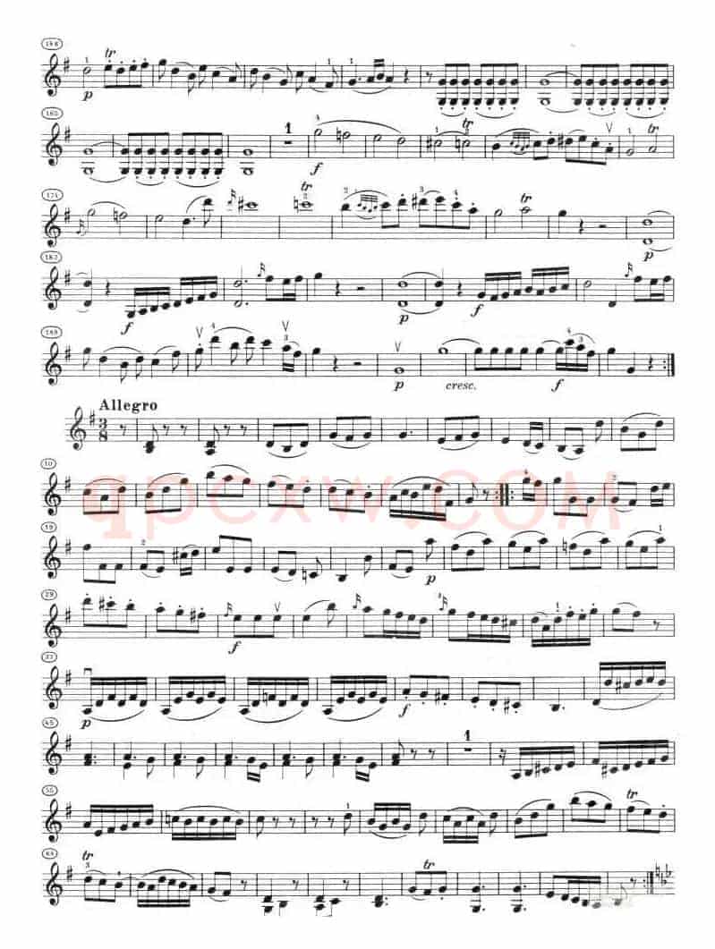奏鸣曲（献给选帝侯夫人）