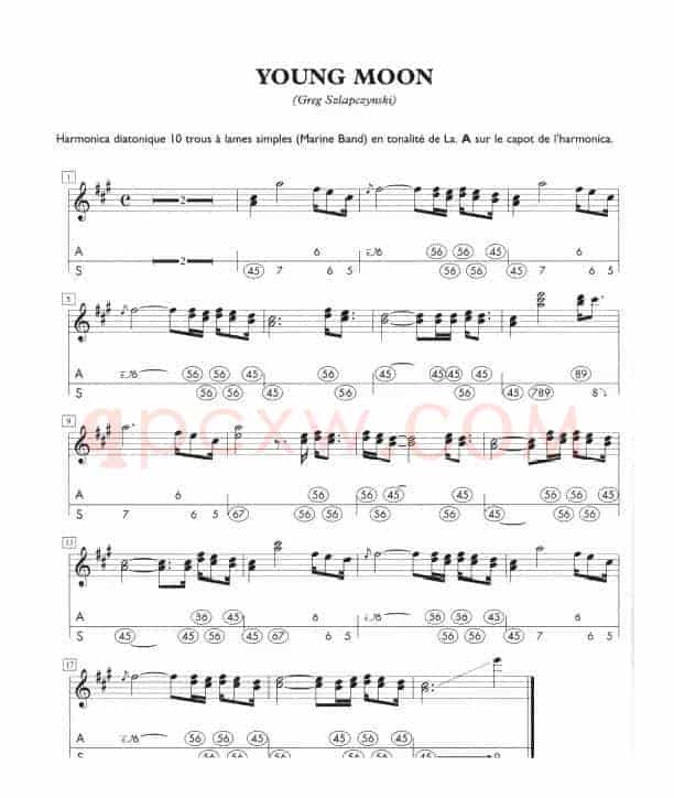 YOUNG MOON（A调口琴）