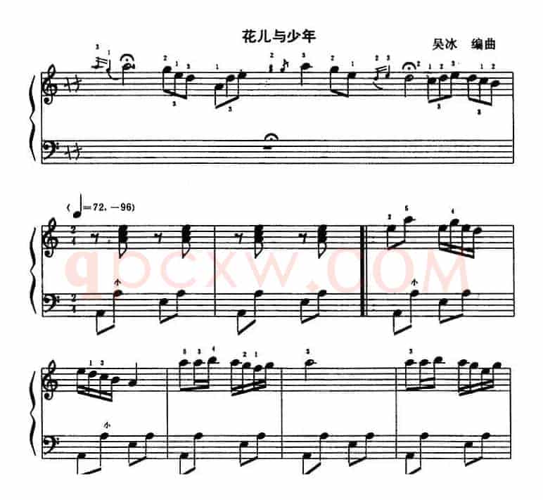 花儿与少年（吴冰编曲版）
