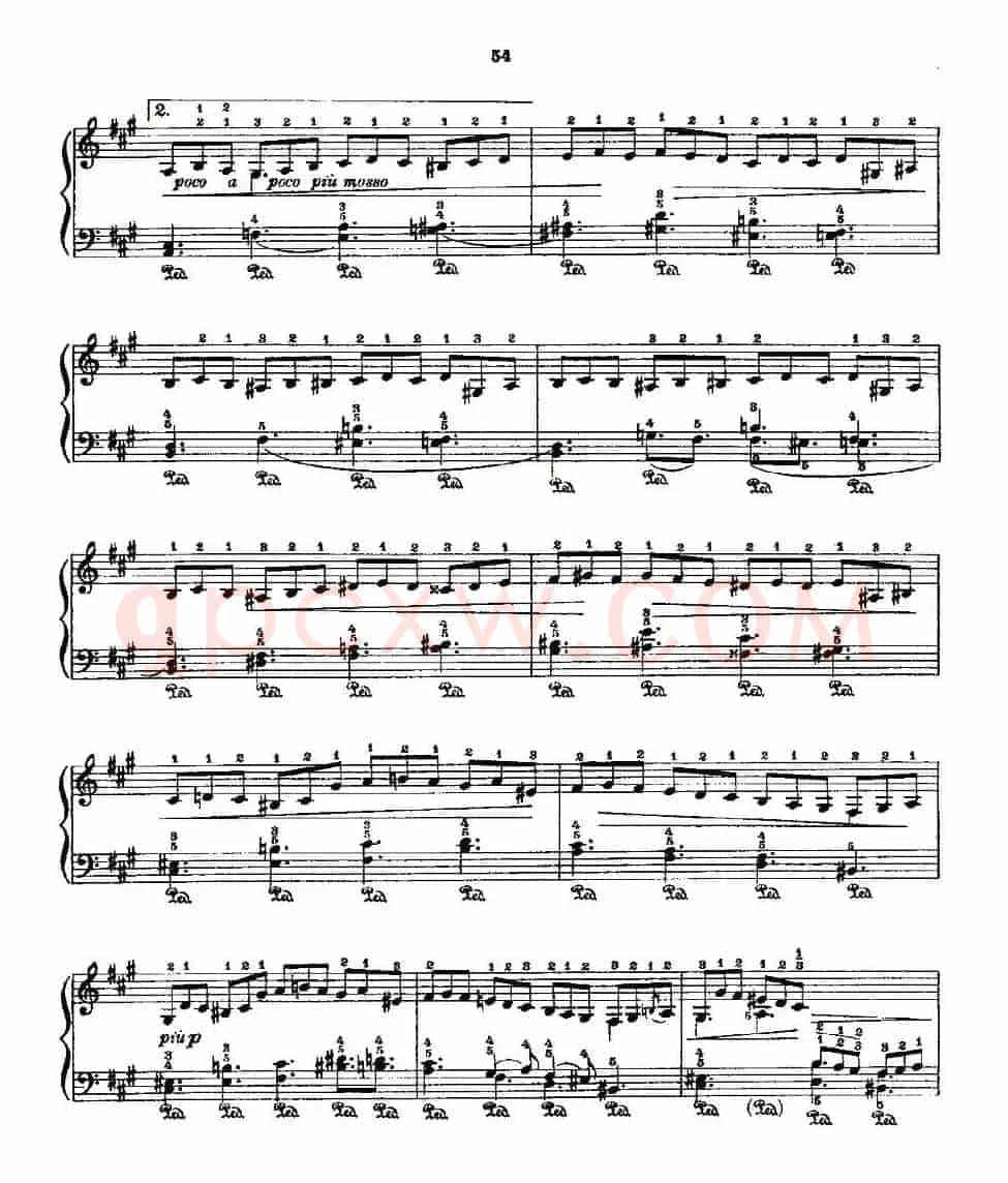 肖邦《练习曲》Fr.Chopin Op.25 No2-4