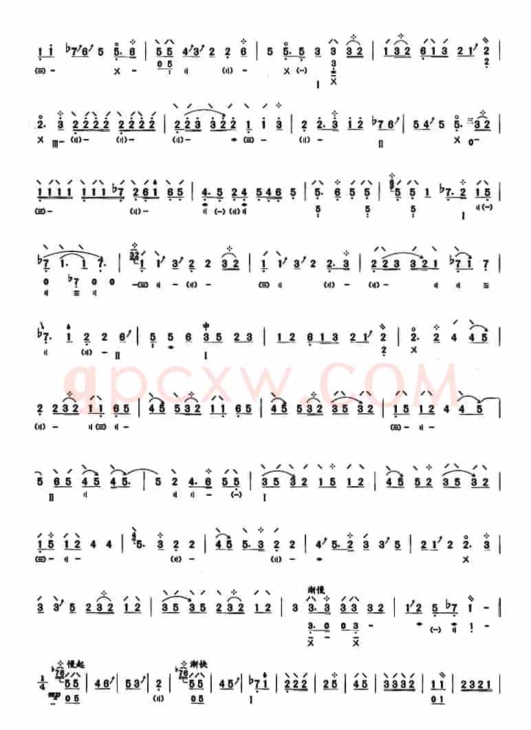 琵琶考级教材五级：寒鸭戏水（潮州民间乐曲）