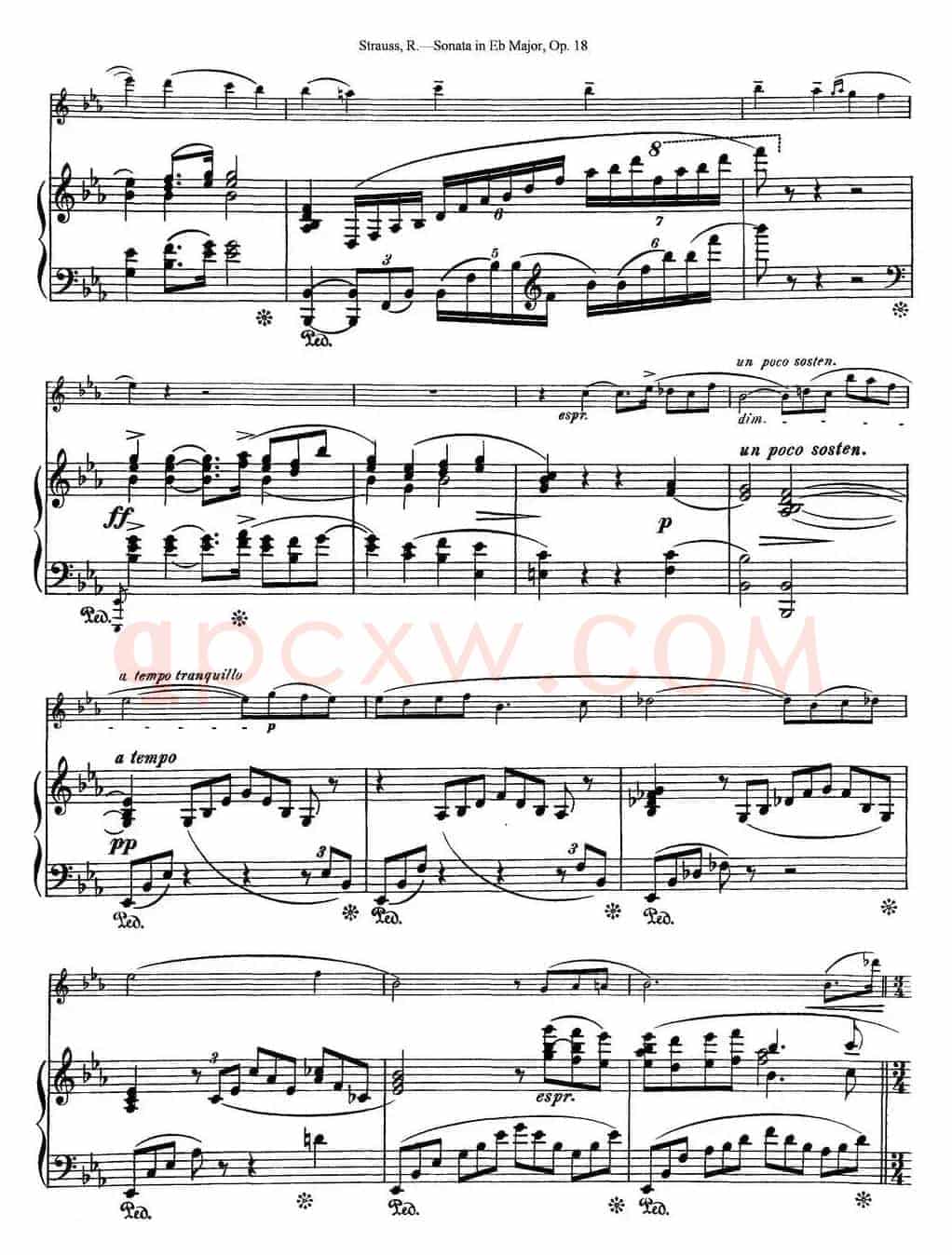 Violin Sonata in Eb Major Op.18（小提琴+钢琴伴奏）
