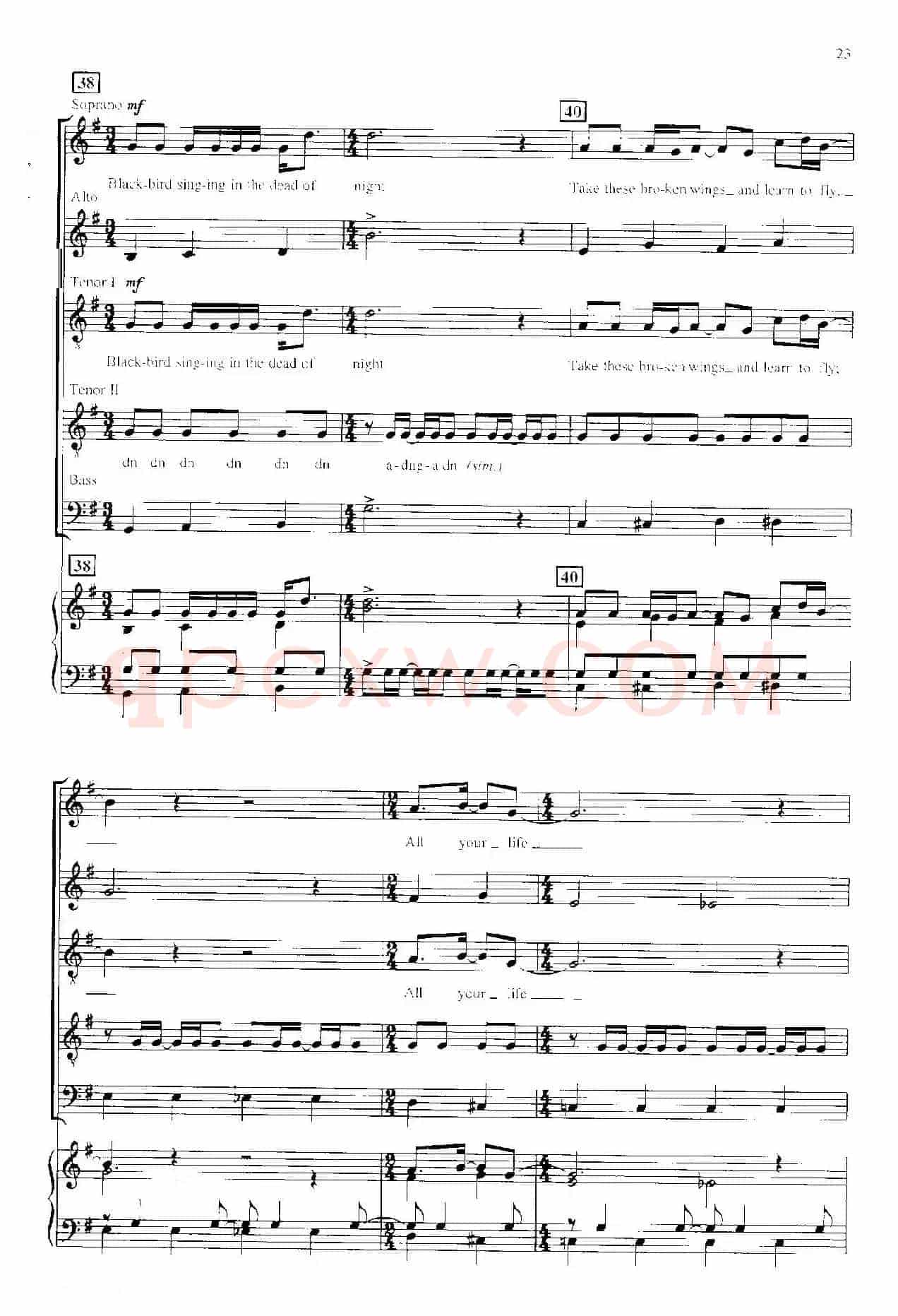 Blackbird（四重奏+钢琴伴奏）