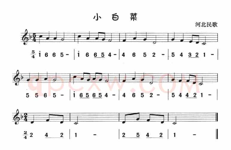 小白菜（八孔竖笛线简谱对照版）