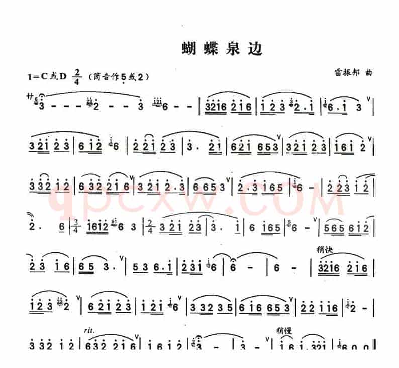 蝴蝶泉边