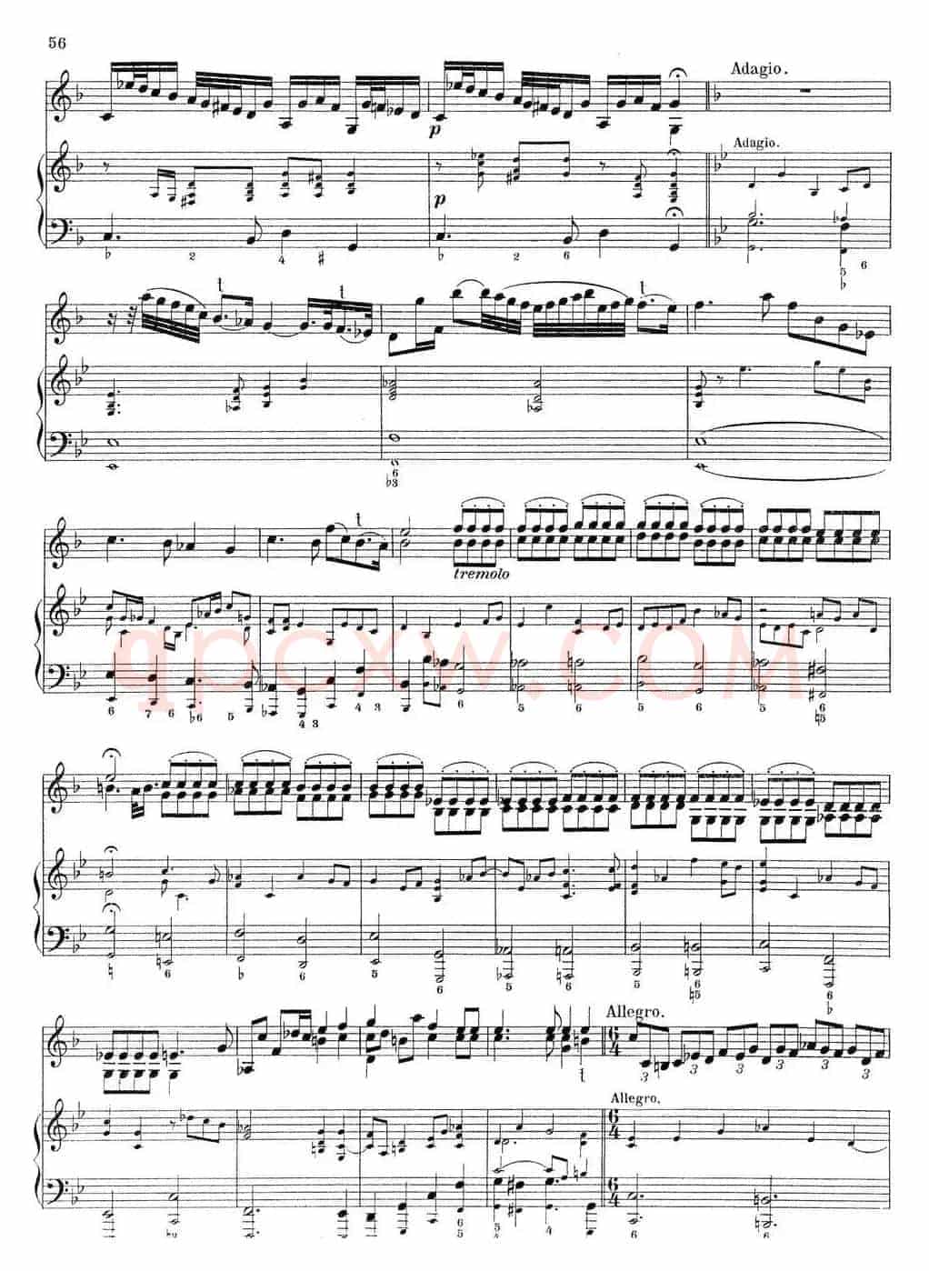 Biber Violin Sonata VI（小提琴+钢琴伴奏）